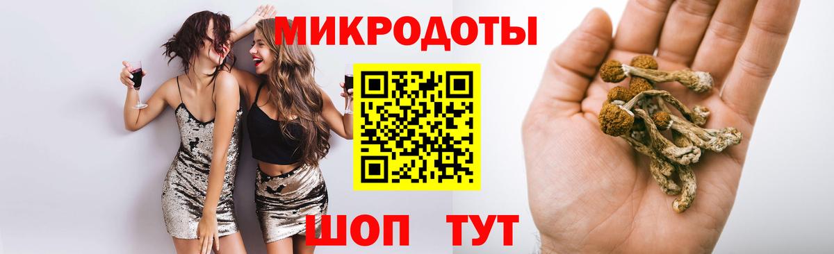 Галлюциногенные грибы Psilocybine cubensis  Вход с VPN  Псилоцибиновые грибы мухоморы  Троицк 
